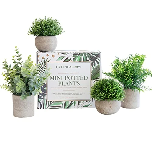 GreenCallow Artificial Plants For Home Decor Indoor. 4 Mini Plants, Rosemary Faux Plant Decor, Eucalyptus Plant, Grass Faux Plants. Small Fake Plants For Shelf Or Desk Plant Artificial Greenery Décor 1 GreenCallow Artificial Plants For Home Decor Indoor. 4 Mini Plants, Rosemary Faux Plant Decor, Eucalyptus Plant, Grass Faux Plants. Small Fake Plants For Shelf Or Desk Plant Artificial Greenery Décor