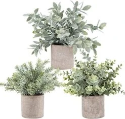 Der Rose 3 Pack Mini Potted Fake Plants Artificial Plastic Eucalyptus Plants For Home Office Desk Farmhouse Room Decor -Green Leaf Store 51lDEYxSlL. AC