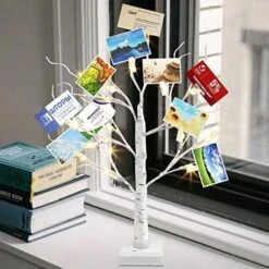 EAMBRITE Money Tree Gift Holder, Lighted Birch Tree 2FT 24LED, Battery/USB Powered Timer Light Up Display Twig Gift Card Tree With 12 Clear Clips And 6 Cards For Home Christmas Fathers Day Photo Memo -Green Leaf Store 51lPlcs3IL. AC