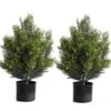 Momoplant 2 Foot Outdoor Artificial Boxwood Garden Torch Shaped Topiary Artificial Topiaries Bushes Potted Fake Plants Company Procurement Outdoor/Indoor Decor(Set Of 2) 2 Momoplant 2 Foot Outdoor Artificial Boxwood Garden Torch Shaped Topiary Artificial Topiaries Bushes Potted Fake Plants Company Procurement Outdoor/Indoor Decor(Set Of 2) -Green Leaf Store 51lm3rP4FVS