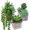 Set Of 3 Small Potted Succulents Plants Decoration Assorted Green Fake Succulents Plants In Rustic Wooden Pots For Home Living Room Bathroom Table Shelf Centerpiece Windowsill Office Desk Indoor Decor -Green Leaf Store 51m1Vsb4gOL