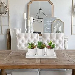 Briful Succulents Plants Artificial In Marble Pot Set Of 3 Small Fake Succulents Plants Faux Succulents With Wood Tray For Table Shelf Office Home Decorations 13 Briful Succulents Plants Artificial In Marble Pot Set Of 3 Small Fake Succulents Plants Faux Succulents With Wood Tray For Table Shelf Office Home Decorations -Green Leaf Store 51m2OIRO8kS