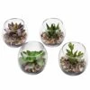 MyGift Assorted Artificial Succulent Fake Plant In Small Clear Glass Display Vases, Set Of 4 -Green Leaf Store 51mYpcV7kJL