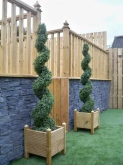 Best Artificial Pair Of 5ft 150cm Boxwood Buxus Spiral Topiary Trees -Green Leaf Store 51mrdWsMVWL