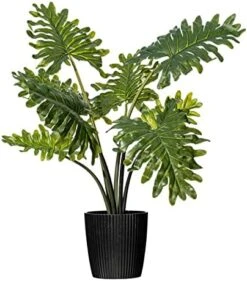Vickerman Everyday Artificial Grand Philodendron Bush 25" Tall - Green Indoor Potted Philo Bush - Faux Decor For Home Or Office Greenery 12 Vickerman Everyday Artificial Grand Philodendron Bush 25" Tall - Green Indoor Potted Philo Bush - Faux Decor For Home Or Office Greenery -Green Leaf Store 51ms7NOXRDL. AC