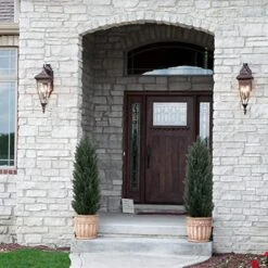 Binnny Flower 4ft Topiary Trees Artificial Outdoor 2 Pack Cedar Pine Faux Bushes And Shrubs Fake Potted Plants UV Rated 4 Feet For Front Porch Home Indoor Decor 12 Binnny Flower 4ft Topiary Trees Artificial Outdoor 2 Pack Cedar Pine Faux Bushes And Shrubs Fake Potted Plants UV Rated 4 Feet For Front Porch Home Indoor Decor -Green Leaf Store 51n2JOZC2VL