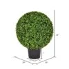 Vickerman Everyday 24 Inch Artificial Boxwood Topiary Ball - UV Resistant Indoor Outdoor - Potted Natural Green - Home Patio Tabletop Faux Bush Decoration -Green Leaf Store 51n3TyHkigL