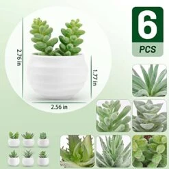 Green Leaf Store -Green Leaf Store 51n6juk6sbL