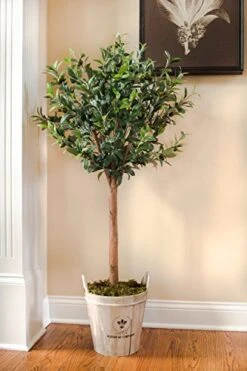 Nearly Natural 5960 4.5' Olive Topiary Tree With European Barrel Planter 8 Nearly Natural 5960 4.5' Olive Topiary Tree With European Barrel Planter -Green Leaf Store 51nDvMkLzfL
