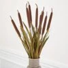 Factory Direct Craft Brown Artificial Cattails And Grass Bush For Fall Flower Arrangements And Autumn Displays (24" H) -Green Leaf Store 51nFiK4ph7L