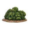 Department 56 Accessories For Villages Halloween Scary Topiary Tree Accessory Figurine, 4.53 Inch 11 Department 56 Accessories For Villages Halloween Scary Topiary Tree Accessory Figurine, 4.53 Inch -Green Leaf Store 51nM5n5PGTL