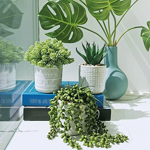 Set Of 3 Assorted Small Potted Succulent Plants Fake Aloe String Of Pearls Hops Succulents In Gray Geometric Concrete Ceramic Pots For Gifts Modern Home Office Desk Table Indoor Outdoor Greenery Decor 1 Set Of 3 Assorted Small Potted Succulent Plants Fake Aloe String Of Pearls Hops Succulents In Gray Geometric Concrete Ceramic Pots For Gifts Modern Home Office Desk Table Indoor Outdoor Greenery Decor