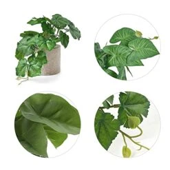 Mkono Faux Plants Indoor Small Fake Potted Rustic Artificial Plants For Home Decor 3 Pack Broad Leaved Faux Greenery With Gray Pot For Shelf Desk Farmhouse Bathroom Decor Coffee Table Centerpiece 4 Mkono Faux Plants Indoor Small Fake Potted Rustic Artificial Plants For Home Decor 3 Pack Broad Leaved Faux Greenery With Gray Pot For Shelf Desk Farmhouse Bathroom Decor Coffee Table Centerpiece -Green Leaf Store 51nqkyvwN1L