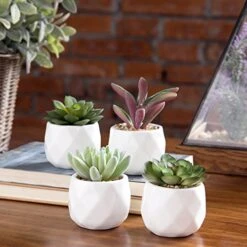 MyGift Miniature Artificial Succulents, Indoor Fake House Plants In Round White Geometric Ceramic Pots, Set Of 4 -Green Leaf Store 51oCbCfdwaL