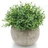 Velener Mini Sage Green Potted Boxwood Topiary Artificial Plants For Home Decor Indoor, Farmhouse House Plant Office Small Desk Shelf Apartment Coffee Bar Bathroom Decor Guest Room, Small Fake Plant 12 Velener Mini Sage Green Potted Boxwood Topiary Artificial Plants For Home Decor Indoor, Farmhouse House Plant Office Small Desk Shelf Apartment Coffee Bar Bathroom Decor Guest Room, Small Fake Plant -Green Leaf Store 51oT6MweekL