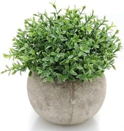 Velener Mini Sage Green Potted Boxwood Topiary Artificial Plants For Home Decor Indoor, Farmhouse House Plant Office Small Desk Shelf Apartment Coffee Bar Bathroom Decor Guest Room, Small Fake Plant 20 Velener Mini Sage Green Potted Boxwood Topiary Artificial Plants For Home Decor Indoor, Farmhouse House Plant Office Small Desk Shelf Apartment Coffee Bar Bathroom Decor Guest Room, Small Fake Plant -Green Leaf Store 51oT6MweekL. AC 1