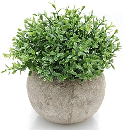 Velener Mini Sage Green Potted Boxwood Topiary Artificial Plants For Home Decor Indoor, Farmhouse House Plant Office Small Desk Shelf Apartment Coffee Bar Bathroom Decor Guest Room, Small Fake Plant 9 Velener Mini Sage Green Potted Boxwood Topiary Artificial Plants For Home Decor Indoor, Farmhouse House Plant Office Small Desk Shelf Apartment Coffee Bar Bathroom Decor Guest Room, Small Fake Plant - Image 9