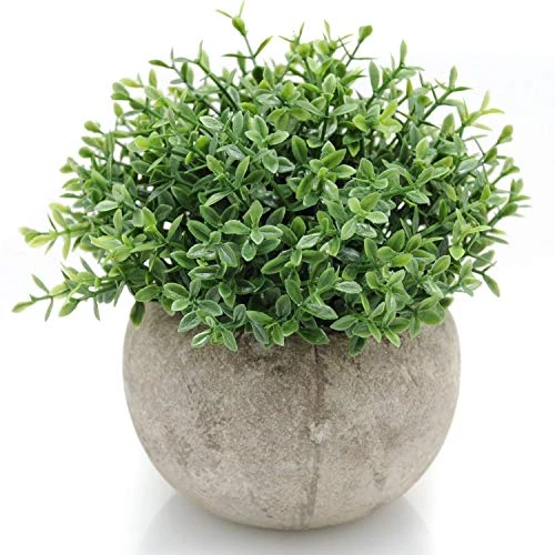 Velener Mini Sage Green Potted Boxwood Topiary Artificial Plants For Home Decor Indoor, Farmhouse House Plant Office Small Desk Shelf Apartment Coffee Bar Bathroom Decor Guest Room, Small Fake Plant 1 Velener Mini Sage Green Potted Boxwood Topiary Artificial Plants For Home Decor Indoor, Farmhouse House Plant Office Small Desk Shelf Apartment Coffee Bar Bathroom Decor Guest Room, Small Fake Plant