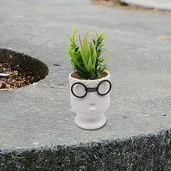 ALIWINER Artificial Succulents Plants With Ceramic Pot Decor Figurines Living Room Decor Home Decoration -Green Leaf Store 51oVhcmWiIL