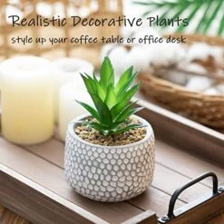 CADNLY Small Artificial Plants In Pots - Fake Plants For Bathroom Office Desk - Faux Succulents Plants Artificial Succulents Decor - Faux Plants Indoor Small Plants Shelf Decor Green Potted Plant -Green Leaf Store 51ozXHMrFUL