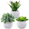 Set Of 3 Small Potted Succulents Plants Artificial Aloe Hops Succulents In Gray Concrete Ceramic Planter Geometry Pattern For Party Favor Gift Windowsill Tabletop Shelf Indoor Outdoor Greenery Decor -Green Leaf Store 51p2vUMiv7L