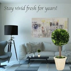 Natural Preserved Boxwood Topiary In Pot 9 Inch Stunning Greenery And Plant Decor Great For Home Office Bar Shop Decoartion Christmas Topiary Decor GIFS For Family, New House(9 Inch Tall/4 Inch Wide) -Green Leaf Store 51p3Np1os4L