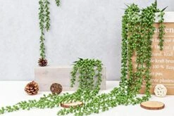 Meiliy 4pcs Artificial Succulent Plants Hanging Succulent Plants Faux Succulents Unpotted Branch String Of Pearls Plant For Home Kitchen Office Wedding Garden Craft Art Decor(28 Inches Each Length) -Green Leaf Store 51pIFDYH8pL