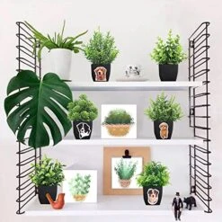 LELEE Fake Potted Plants Mini Artificial Plants, 6 Pcs Small Eucalyptus Potted Faux Decorative Grass Plant With White Pot For Home Decor, Indoor, Office, Desk, Table Decoration -Green Leaf Store 51pTzEqpYIL