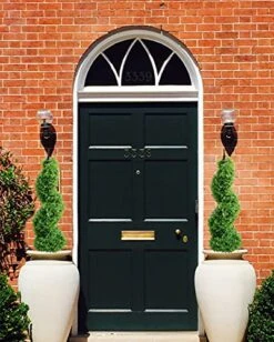 3ft Artificial Spiral Topiary,Faux Topiary Trees ,Artificial Boxwood Plants,Topiary Trees Artificial Outdoor 2 Pack,Fake Plant Green Decor For Outdoor And Indoor,Topiaries For Front Porch Set Of Two -Green Leaf Store 51pVyHjWgWL