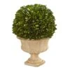 Nearly Natural 12in. Boxwood Topiary Ball Preserved Plant In Decorative Urn (4372) 18 Nearly Natural 12in. Boxwood Topiary Ball Preserved Plant In Decorative Urn (4372) -Green Leaf Store 51pexqS3BGL