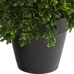 Nearly Natural Mini 10in. Boxwood Topiary Artificial Plant UV Resistant (Indoor/Outdoor), Green 6 Nearly Natural Mini 10in. Boxwood Topiary Artificial Plant UV Resistant (Indoor/Outdoor), Green -Green Leaf Store 51prQxr4qbL