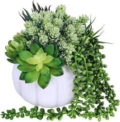 White Fall Pumpkin Centerpiece Artificial Succulent Pumpkin Arrangement With Assorted String Of Pearls Succulents For Fall Thanksgiving Gifts Home Wedding Table Mantel Windowsill Shelf Decor 15 White Fall Pumpkin Centerpiece Artificial Succulent Pumpkin Arrangement With Assorted String Of Pearls Succulents For Fall Thanksgiving Gifts Home Wedding Table Mantel Windowsill Shelf Decor -Green Leaf Store 51qAJsaMVEL. AC