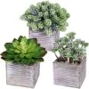 Set Of 3 Assorted Small Potted Succulents Plants Decorations Green Fake Succulents Cacti In Rustic Wooden Pots For Home Living Room Bathroom Table Centerpiece Windowsill Shelf Office Desk Indoor Decor -Green Leaf Store 51qcR6OIyYL