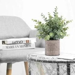 ROMAY 3 Pack Mini Potted Artificial Plants Fake Eucalyptus Greenery In Pots For Home Office Desk Decor -Green Leaf Store 51qoyLHpJKL