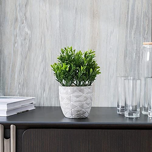 "FAVRD" Artificial Plants Boxwood In Cement Pot Environmentally Conscious Partly Recycled Fake Plants Topiary Shrubs Faux Plants Indoor Home Office Decor Desk, 6.5 X 6.5 X 9.5 Inches 2 "FAVRD" Artificial Plants Boxwood In Cement Pot Environmentally Conscious Partly Recycled Fake Plants Topiary Shrubs Faux Plants Indoor Home Office Decor Desk, 6.5 X 6.5 X 9.5 Inches - Image 2