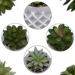 Succulent Decor, Fake Succulents, Succulent Wall Decor, Succulents Artificial Decor, Small Fake Plant, Succulent Decoration, Potted Plants, Set Of 3 Succulents 9 Succulent Decor, Fake Succulents, Succulent Wall Decor, Succulents Artificial Decor, Small Fake Plant, Succulent Decoration, Potted Plants, Set Of 3 Succulents -Green Leaf Store 51rCmn8CioL