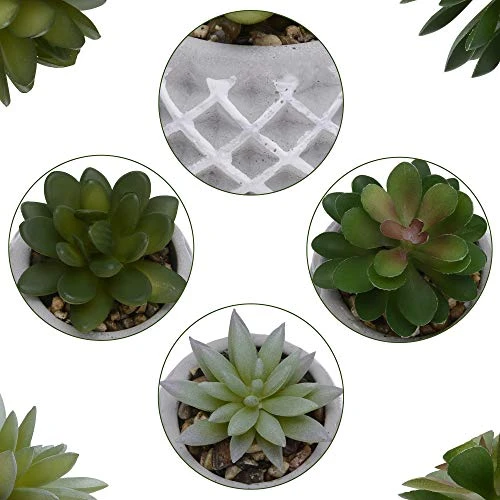 Succulent Decor, Fake Succulents, Succulent Wall Decor, Succulents Artificial Decor, Small Fake Plant, Succulent Decoration, Potted Plants, Set Of 3 Succulents 5 Succulent Decor, Fake Succulents, Succulent Wall Decor, Succulents Artificial Decor, Small Fake Plant, Succulent Decoration, Potted Plants, Set Of 3 Succulents - Image 5