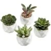 MyGift Miniature Artificial Succulents, Indoor Fake House Plants In Round White Geometric Ceramic Pots, Set Of 4 13 MyGift Miniature Artificial Succulents, Indoor Fake House Plants In Round White Geometric Ceramic Pots, Set Of 4 -Green Leaf Store 51rCowEeU1L