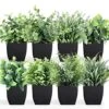 LELEE 8pcs Artificial Potted Plants Mini Fake Potted Plants, Small Eucalyptus Potted Faux Decorative Grass Plant With Black Pot For Home Decor, Indoor, Office, Desk, Table, Shelf Decoration 8 LELEE 8pcs Artificial Potted Plants Mini Fake Potted Plants, Small Eucalyptus Potted Faux Decorative Grass Plant With Black Pot For Home Decor, Indoor, Office, Desk, Table, Shelf Decoration -Green Leaf Store 51rKUa9SgyL