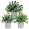 Set Of 3 Assorted Small Potted Plants Fake Eucalyptus And Rosemary Plants In Gray Geometric Concrete Ceramic Pots For Gifts Home Kitchen Office Shelf Table Desk Modern Indoor Outdoor Greenery Decor 13 Set Of 3 Assorted Small Potted Plants Fake Eucalyptus And Rosemary Plants In Gray Geometric Concrete Ceramic Pots For Gifts Home Kitchen Office Shelf Table Desk Modern Indoor Outdoor Greenery Decor -Green Leaf Store 51rSkQdOMwL