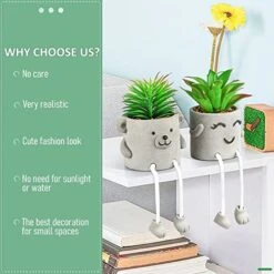 Natheeph 2 Pcs Succulents Plants Artificial Fake Plant Faux Succulents Hanging Leg With Cement Potted For Home Office Desk Bedroom Bookshelf Greenery Decoration (Smile & Bear) -Green Leaf Store 51sGRIpHPzL