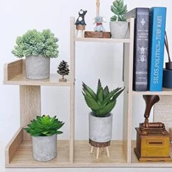 Winlyn Set Of 3 Artificial Potted Succulents Plants In Rustic Wood Tray Succulents Arrangement For Farmhouse Table Centerpiece Desk Windowsill Shelf Counter Home Bathroom Kitchen Office Country Decor 10 Winlyn Set Of 3 Artificial Potted Succulents Plants In Rustic Wood Tray Succulents Arrangement For Farmhouse Table Centerpiece Desk Windowsill Shelf Counter Home Bathroom Kitchen Office Country Decor -Green Leaf Store 51sLAkY7X8L