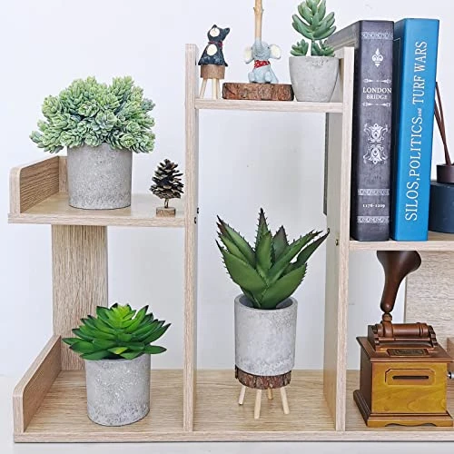 Winlyn Set Of 3 Artificial Potted Succulents Plants In Rustic Wood Tray Succulents Arrangement For Farmhouse Table Centerpiece Desk Windowsill Shelf Counter Home Bathroom Kitchen Office Country Decor 5 Winlyn Set Of 3 Artificial Potted Succulents Plants In Rustic Wood Tray Succulents Arrangement For Farmhouse Table Centerpiece Desk Windowsill Shelf Counter Home Bathroom Kitchen Office Country Decor - Image 5