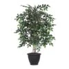 Vickerman 4' Artificial Mini Ficus Bush, Gray Plastic Container. 26 Vickerman 4' Artificial Mini Ficus Bush, Gray Plastic Container. -Green Leaf Store 51sWRMNNfjL