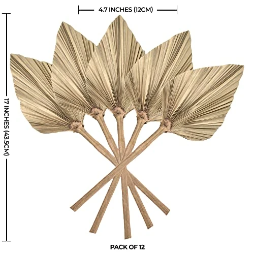 PYSAZI 12 Pcs Natural Dried Palm Leaves Boho Dried Palm Spears Leaves Bulk Small Dried Real Palm Fans Dry Palm Leaves With Stems Dried Leaf Boho Home Décor For Vase Wedding Office Home 43.5*12cm 2 PYSAZI 12 Pcs Natural Dried Palm Leaves Boho Dried Palm Spears Leaves Bulk Small Dried Real Palm Fans Dry Palm Leaves With Stems Dried Leaf Boho Home Décor For Vase Wedding Office Home 43.5*12cm - Image 2