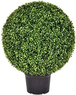 Vickerman Everyday 24 Inch Artificial Boxwood Topiary Ball - UV Resistant Indoor Outdoor - Potted Natural Green - Home Patio Tabletop Faux Bush Decoration -Green Leaf Store 51tGkLGeL. AC