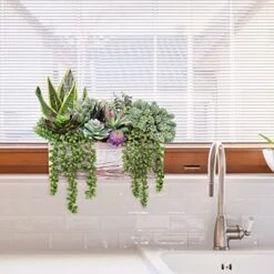 14 Pcs Assorted Artificial Succulents Fake Plants In Rectangular Wooden Pots Artificial Potted Succulents Plants Arrangement For Table Centerpiece Windowsill Shelf Mantel Tropical Greenery Decor -Green Leaf Store 51tMbh2LS9L