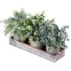 Set Of 3 Mini Potted Artificial Eucalyptus Plants Faux Rosemary Plant Assortment With Wood Planter Box For Indoor Office Desk Apartment Wedding Tabletop Greenery Decorations 8.7" Tall -Green Leaf Store 51tTr6YCzcL