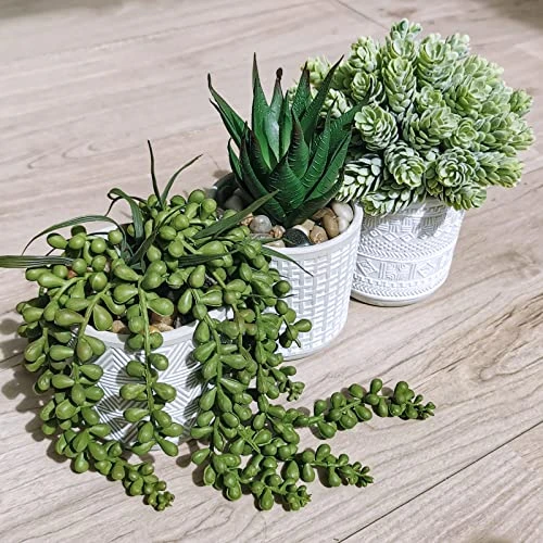 Set Of 3 Assorted Small Potted Succulent Plants Fake Aloe String Of Pearls Hops Succulents In Gray Geometric Concrete Ceramic Pots For Gifts Modern Home Office Desk Table Indoor Outdoor Greenery Decor 3 Set Of 3 Assorted Small Potted Succulent Plants Fake Aloe String Of Pearls Hops Succulents In Gray Geometric Concrete Ceramic Pots For Gifts Modern Home Office Desk Table Indoor Outdoor Greenery Decor - Image 3