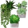 Set Of 3 Small Potted Succulents Plants Arrangement Decoration Assorted Green Fake Succulents Aloe In Rusitc Wooden Pots For Home Living Room Bathroom Table Windowsill Shelf Office Desk Indoor Decor 13 Set Of 3 Small Potted Succulents Plants Arrangement Decoration Assorted Green Fake Succulents Aloe In Rusitc Wooden Pots For Home Living Room Bathroom Table Windowsill Shelf Office Desk Indoor Decor -Green Leaf Store 51u153yJ0nL